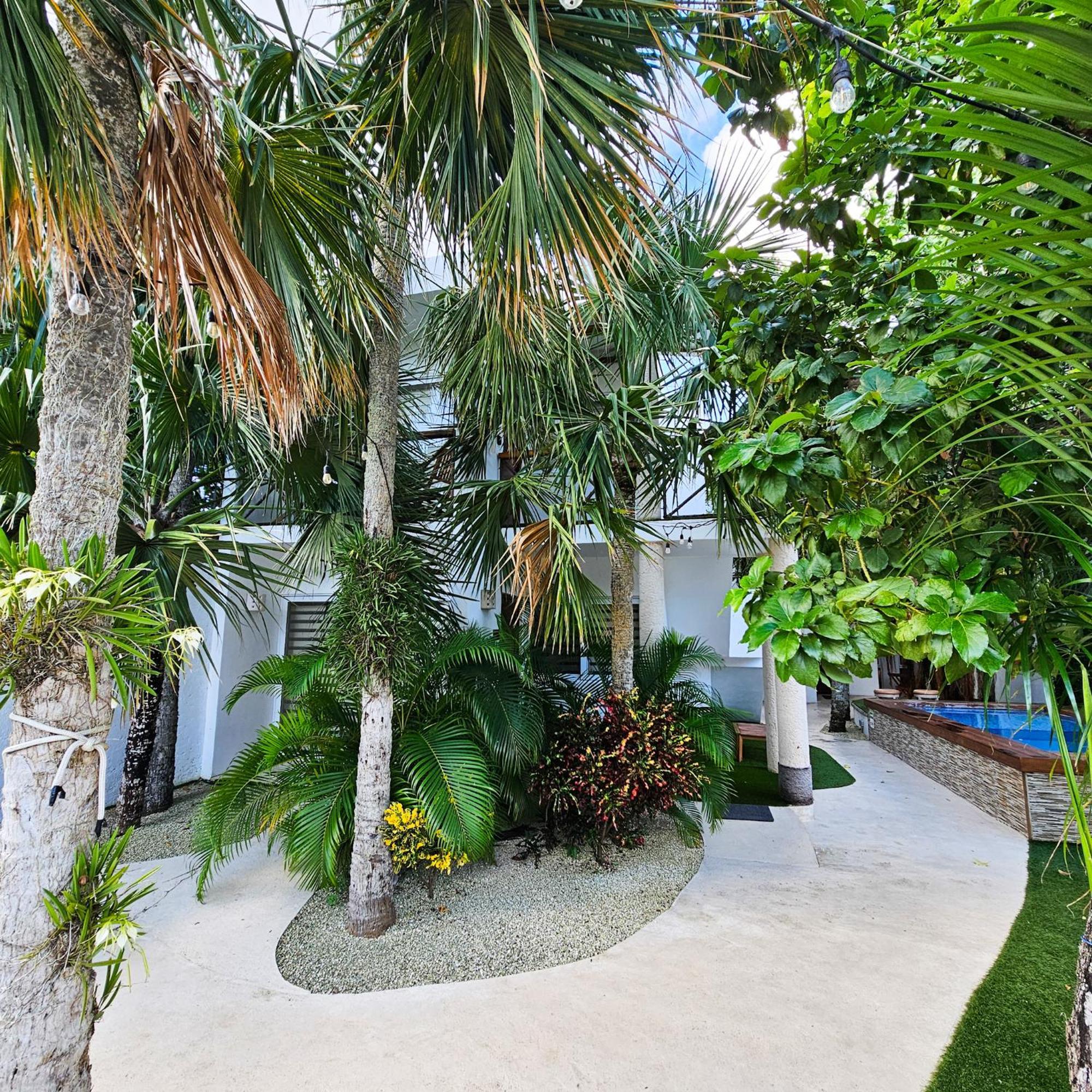 Sayu - Suites Cozumel Esterno foto